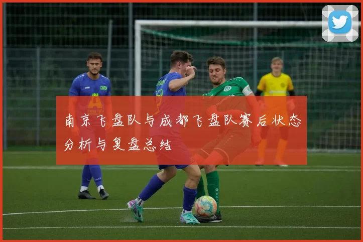 南京飞盘队与成都飞盘队赛后状态分析与复盘总结