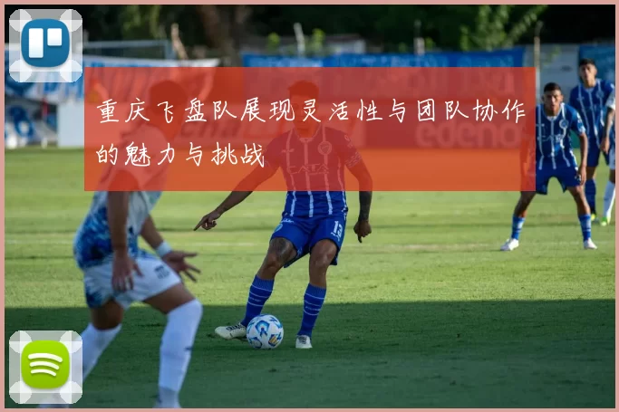 重庆飞盘队展现灵活性与团队协作的魅力与挑战