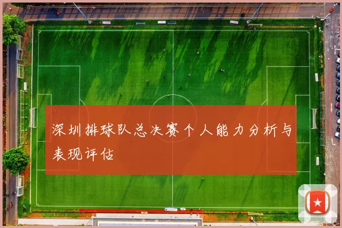 深圳排球队总决赛个人能力分析与表现评估