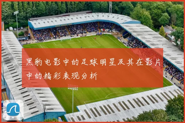 黑豹电影中的足球明星及其在影片中的精彩表现分析