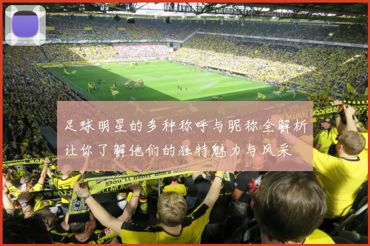 足球明星的多种称呼与昵称全解析让你了解他们的独特魅力与风采