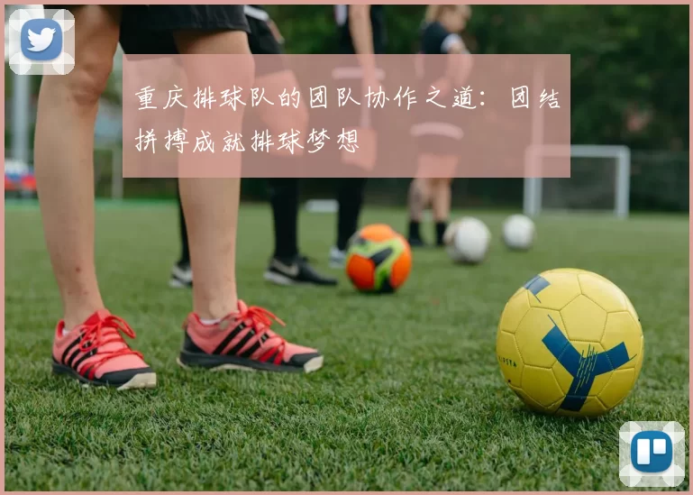 重庆排球队的团队协作之道：团结拼搏成就排球梦想