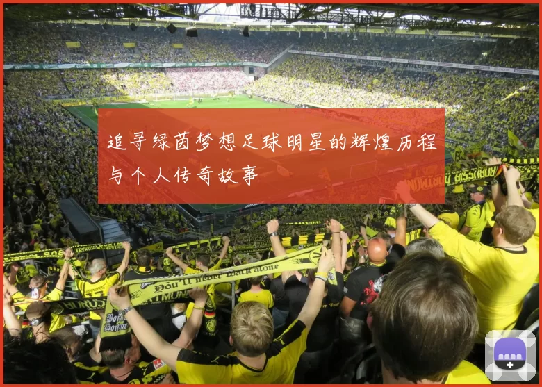 追寻绿茵梦想足球明星的辉煌历程与个人传奇故事