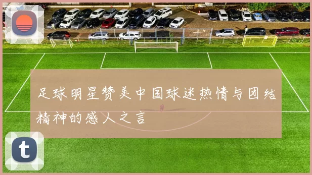 足球明星赞美中国球迷热情与团结精神的感人之言