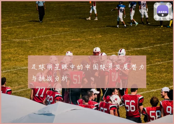 足球明星眼中的中国球员发展潜力与挑战分析