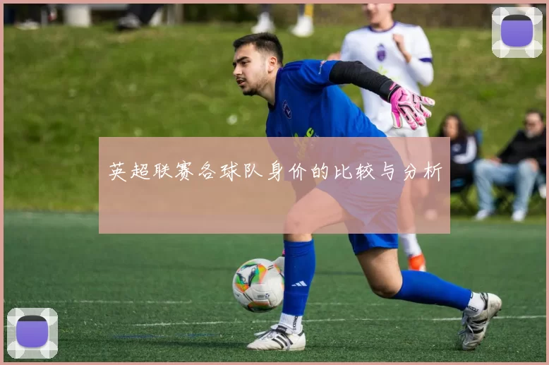 英超联赛各球队身价的比较与分析