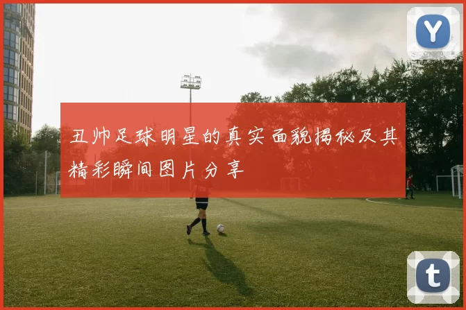 丑帅足球明星的真实面貌揭秘及其精彩瞬间图片分享