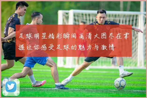 足球明星精彩瞬间高清大图尽在掌握让你感受足球的魅力与激情