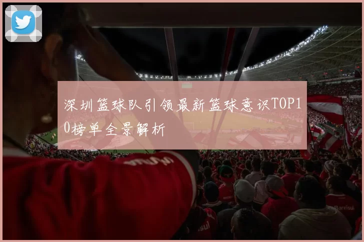 深圳篮球队引领最新篮球意识TOP10榜单全景解析