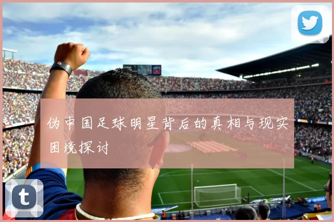 伪中国足球明星背后的真相与现实困境探讨