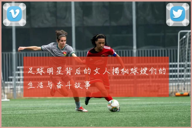 足球明星背后的女人揭秘球嫂们的生活与奋斗故事