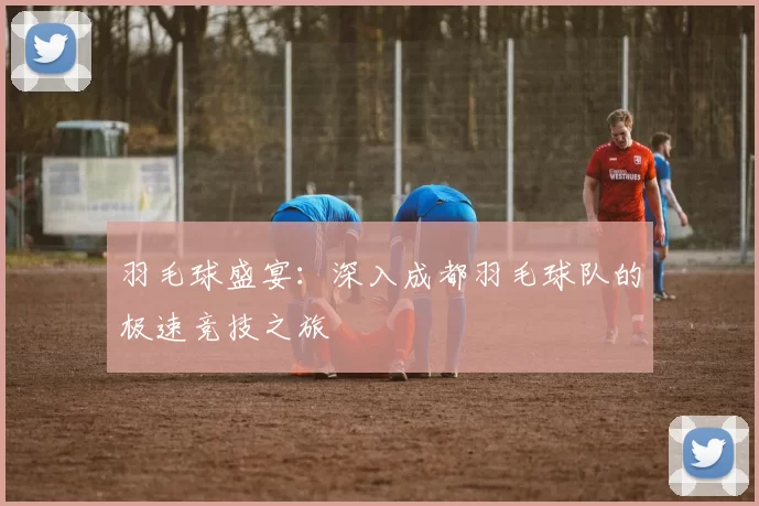 羽毛球盛宴：深入成都羽毛球队的极速竞技之旅