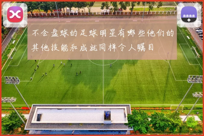 不会盘球的足球明星有哪些他们的其他技能和成就同样令人瞩目