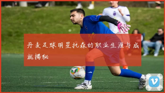丹麦足球明星托森的职业生涯与成就揭秘