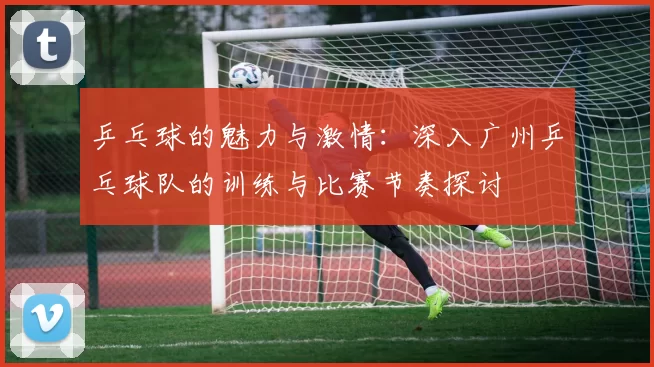 乒乓球的魅力与激情：深入广州乒乓球队的训练与比赛节奏探讨