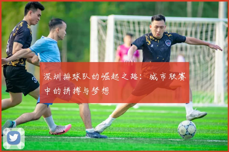 深圳排球队的崛起之路：城市联赛中的拼搏与梦想