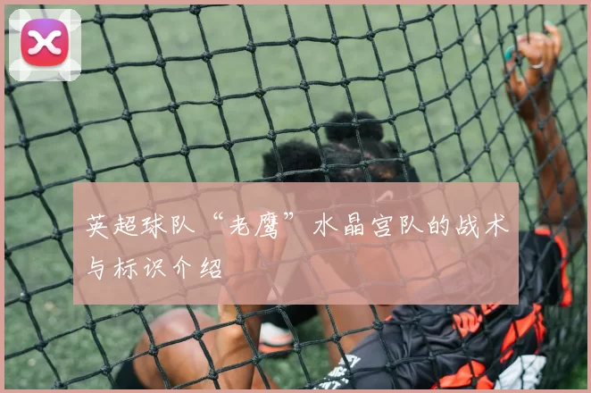英超球队“老鹰”水晶宫队的战术与标识介绍