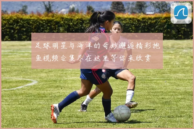 足球明星与海洋的奇妙邂逅精彩抱鱼视频合集尽在这里等你来欣赏