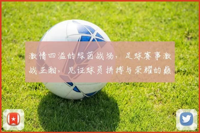 激情四溢的绿茵战场，足球赛事激战正酣，见证球员拼搏与荣耀的巅峰对决