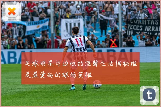 足球明星与边牧的温馨生活揭秘谁是最爱狗的球场英雄