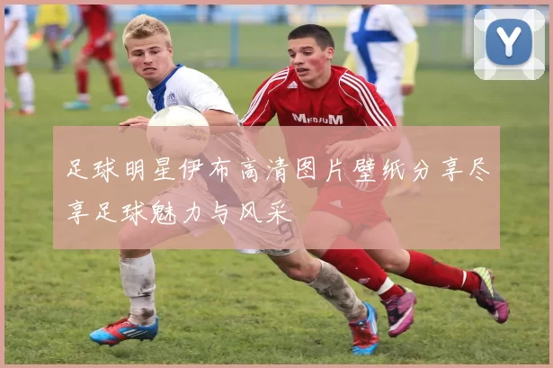 足球明星伊布高清图片壁纸分享尽享足球魅力与风采