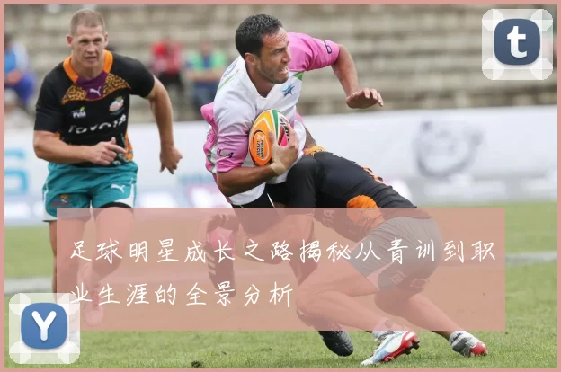 足球明星成长之路揭秘从青训到职业生涯的全景分析