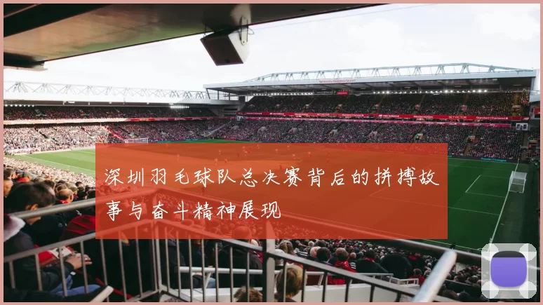 深圳羽毛球队总决赛背后的拼搏故事与奋斗精神展现