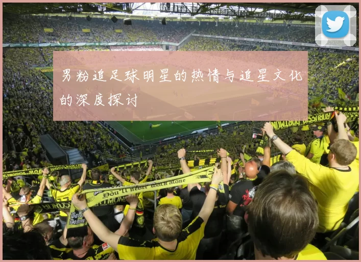男粉追足球明星的热情与追星文化的深度探讨