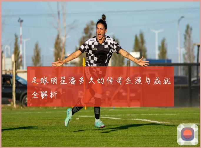 足球明星潘多夫的传奇生涯与成就全解析