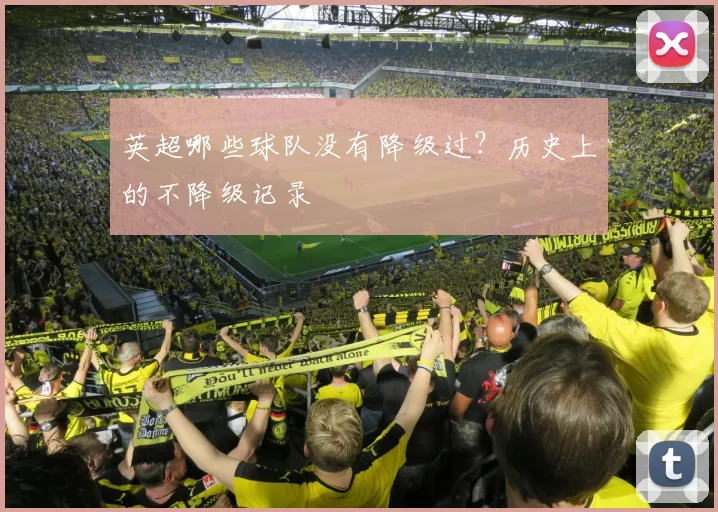 英超哪些球队没有降级过？历史上的不降级记录
