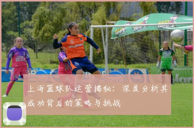 上海篮球队运营揭秘：深度分析其成功背后的策略与挑战