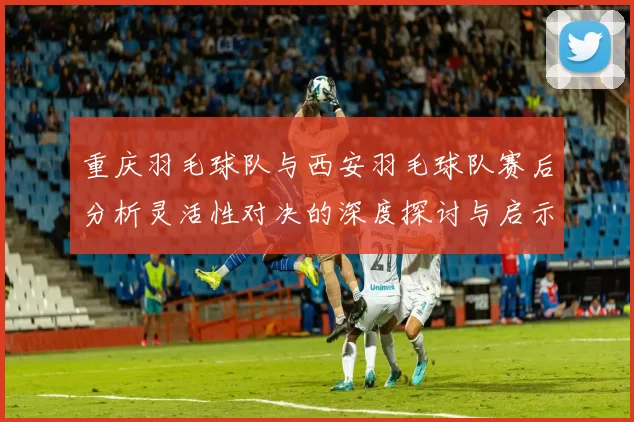 重庆羽毛球队与西安羽毛球队赛后分析灵活性对决的深度探讨与启示