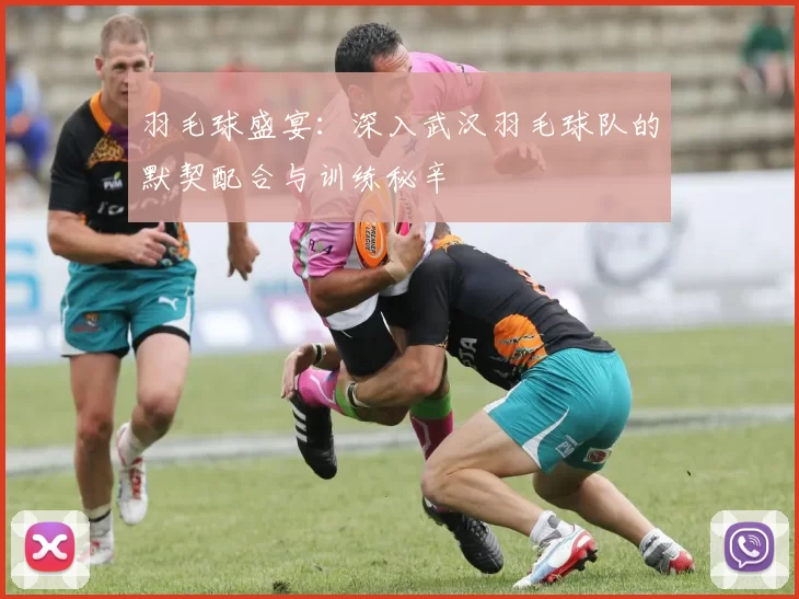 羽毛球盛宴：深入武汉羽毛球队的默契配合与训练秘辛
