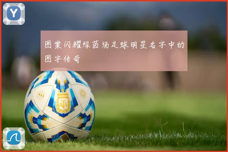 图案闪耀绿茵场足球明星名字中的图字传奇