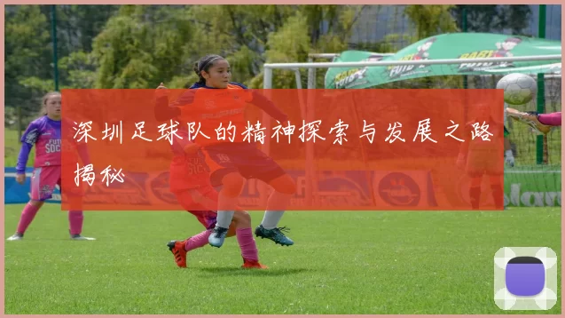 深圳足球队的精神探索与发展之路揭秘