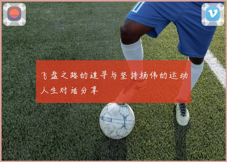飞盘之路的追寻与坚持杨伟的运动人生对话分享