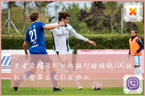 王者荣耀团队协作排行榜揭晓JDG战队荣登第五名引发热议