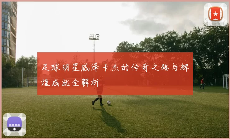 足球明星威泽卡杰的传奇之路与辉煌成就全解析