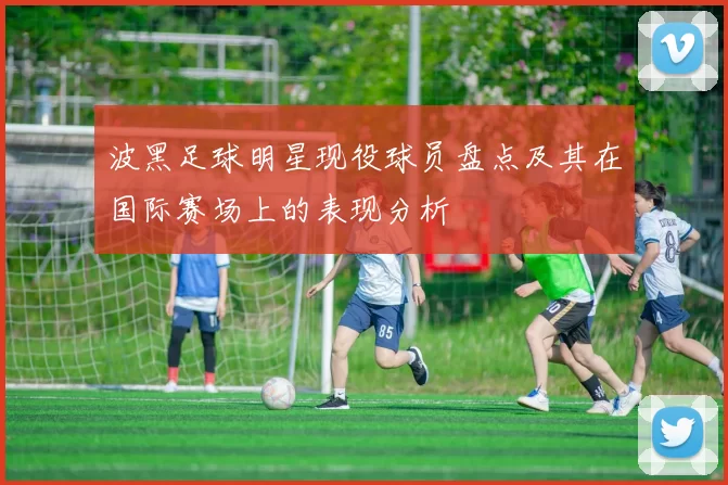 波黑足球明星现役球员盘点及其在国际赛场上的表现分析