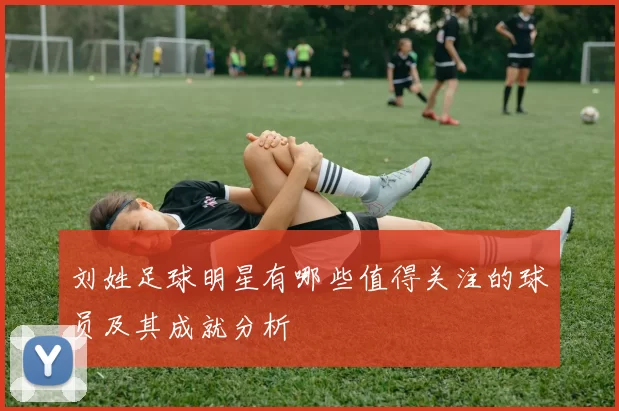 刘姓足球明星有哪些值得关注的球员及其成就分析