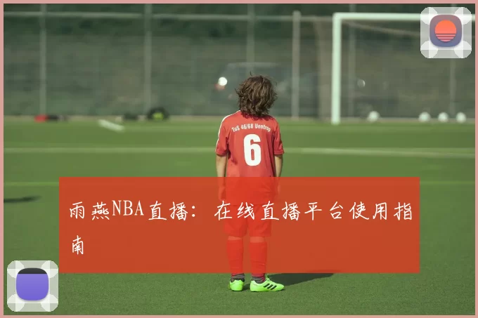 雨燕NBA直播：在线直播平台使用指南