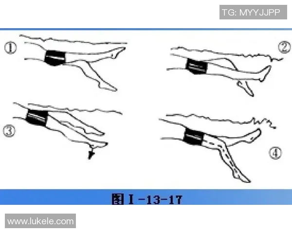 仰泳比赛规则详解及运动员技巧要求解析