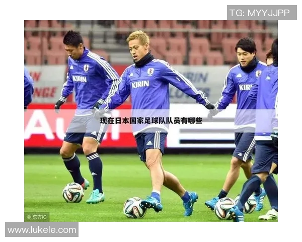 深圳排球队的崛起之路：从默默无闻到世界舞台的荣耀历程