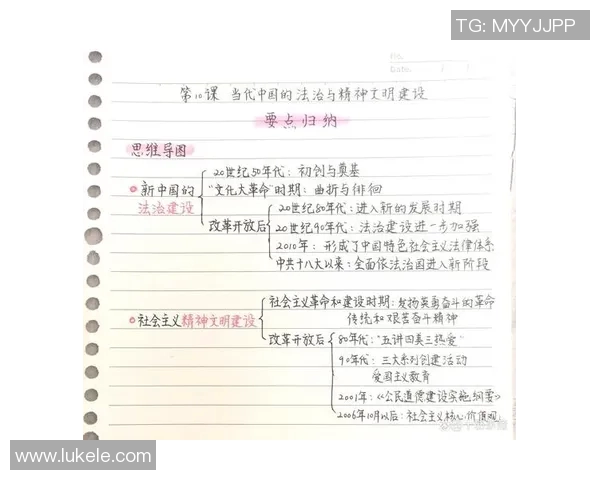 法律视角下的社会公正与公平保护：探讨现代法治建设中的挑战与对策