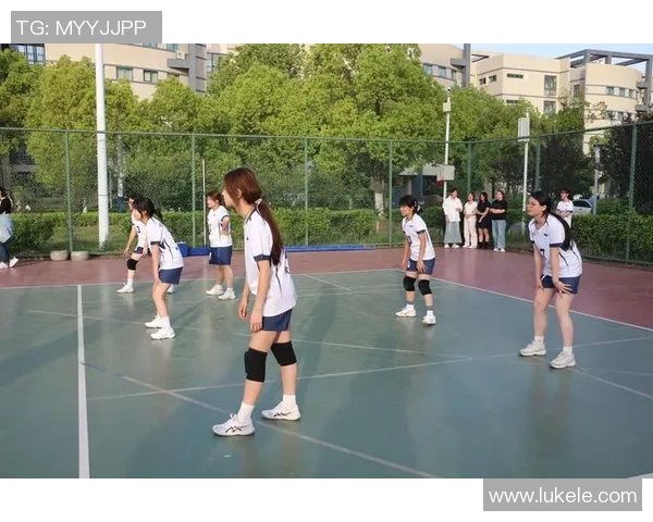 广州排球队的节奏与激情：探索排球运动的魅力与发展之路